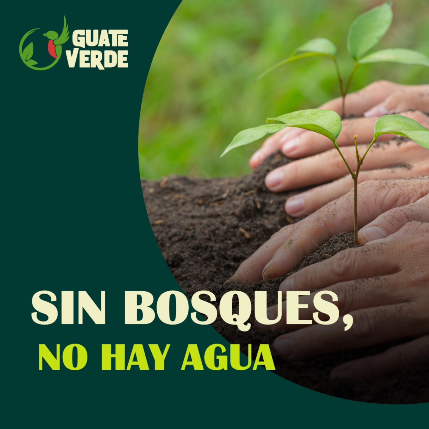 Guateverde