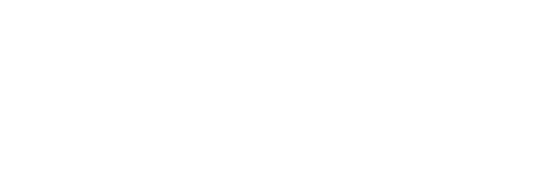 logo oficial de la fundció